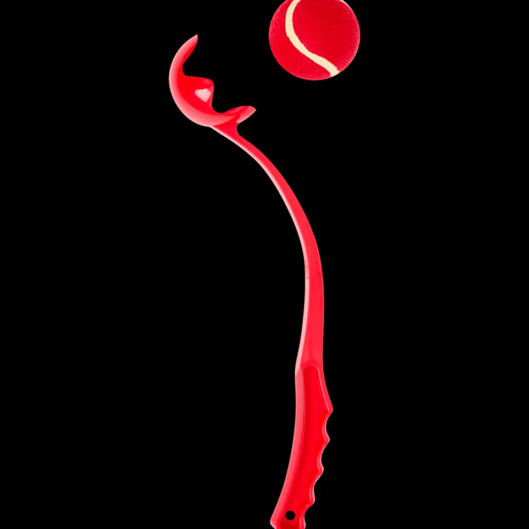 Ballenwerper | Action NL* Discount