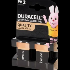 Everyday Alkaline batterijen 9 volt 2 Stuks | Action NL*Duracell Best