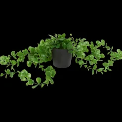 Excellent Flowers hangplant in pot | Action NL* Discount