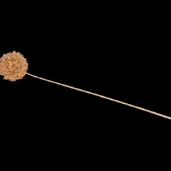 Gouden kunsttak | Action NL* Sale