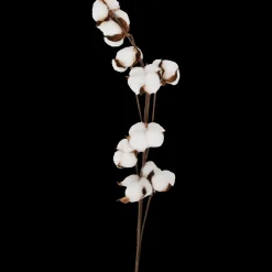 Katoentak | Action NL* Sale