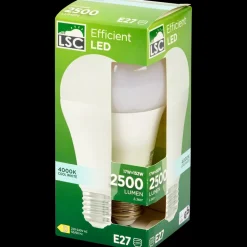 ledlamp 17 watt 2500 lm | Action NL*LSC Sale