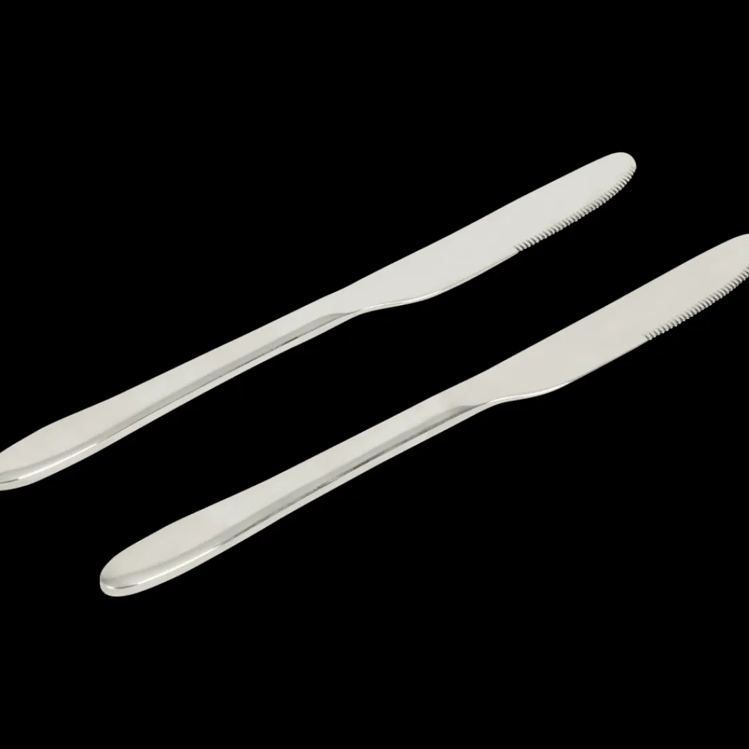 Messen Zilver 2 Stuks | Action NL* Clearance