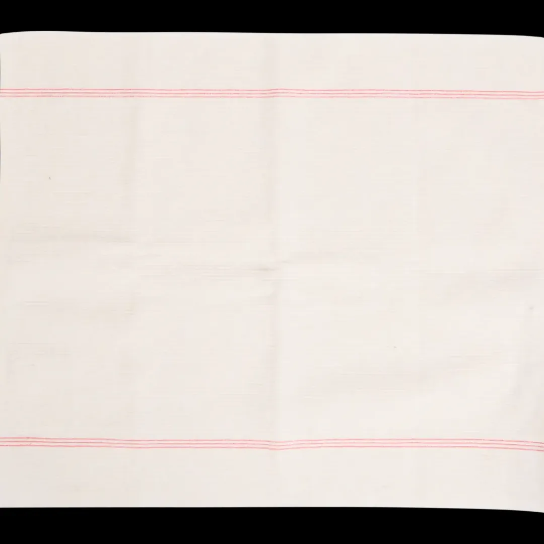 Non-woven dweil | Action NL* New