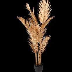 Palm in pot XL | Action NL* New