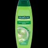 Palmolive shampoo Silky Shine Effect | Action NL* Discount