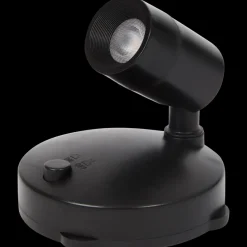 Planten spotlight | Action NL* New