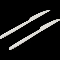 Ibiza messen Zilver 2 Stuks | Action NL*Sola Online