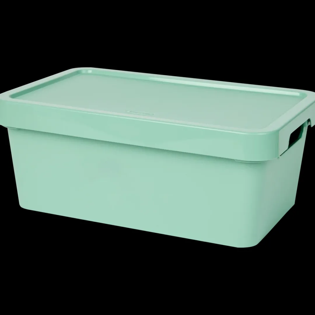 Tontarelli opbergbox Maya 4.2 liter | Action NL* Discount