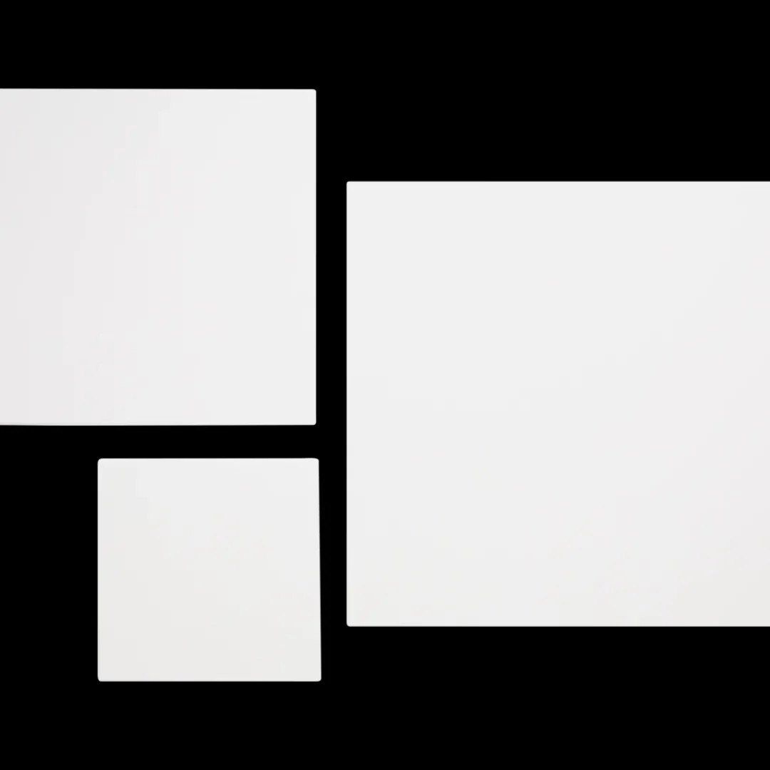 canvassen | Action NL*Van Bleiswijck Sale