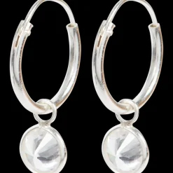 Zilveren oorbellen | Action NL* Outlet